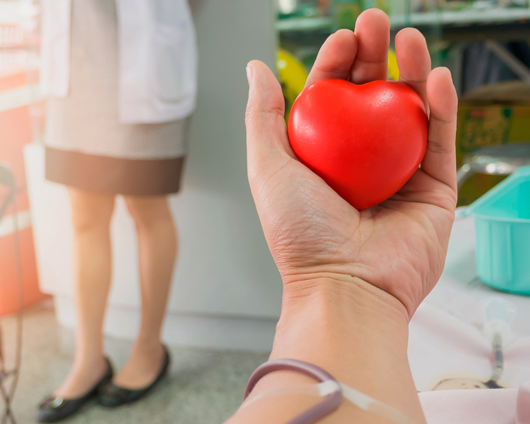 Pessoa segura um objeto em formato de coração vermelho enquanto realiza a doação de sangue.