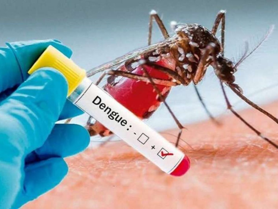 Exame de sangue detectando positivo para dengue